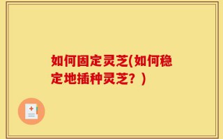 如何固定灵芝(如何稳定地插种灵芝？)