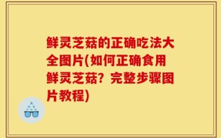 鲜灵芝菇的正确吃法大全图片(如何正确食用鲜灵芝菇？完整步骤图片教程)