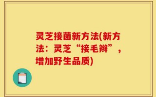 灵芝接菌新方法(新方法：灵芝“接毛辫”，增加野生品质)