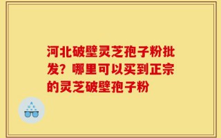河北破壁灵芝孢子粉批发？哪里可以买到正宗的灵芝破壁孢子粉