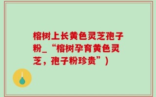 榕树上长黄色灵芝孢子粉_“榕树孕育黄色灵芝，孢子粉珍贵”)