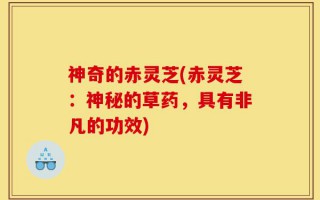 神奇的赤灵芝(赤灵芝：神秘的草药，具有非凡的功效)