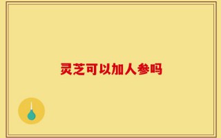 灵芝可以加人参吗