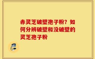 赤灵芝破壁孢子粉？如何分辨破壁和没破壁的灵芝孢子粉