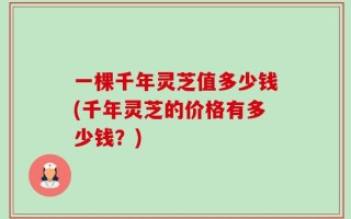 一棵千年灵芝值多少钱(千年灵芝的价格有多少钱？)