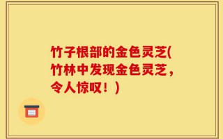 竹子根部的金色灵芝(竹林中发现金色灵芝，令人惊叹！)