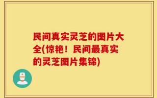 民间真实灵芝的图片大全(惊艳！民间最真实的灵芝图片集锦)