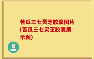苦瓜三七灵芝胶囊图片(苦瓜三七灵芝胶囊展示图)