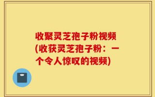 收聚灵芝孢子粉视频 (收获灵芝孢子粉：一个令人惊叹的视频)