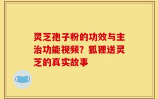 灵芝孢子粉的功效与主治功能视频？狐狸送灵芝的真实故事