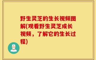 野生灵芝的生长视频图解(观看野生灵芝成长视频，了解它的生长过程)