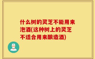 什么树的灵芝不能用来泡酒(这种树上的灵芝不适合用来酿造酒)