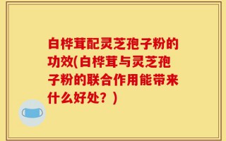 白桦茸配灵芝孢子粉的功效(白桦茸与灵芝孢子粉的联合作用能带来什么好处？)