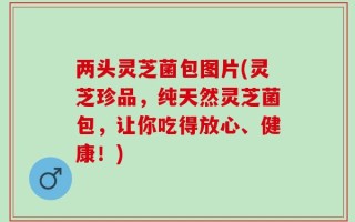 两头灵芝菌包图片(灵芝珍品，纯天然灵芝菌包，让你吃得放心、健康！)