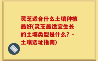灵芝适合什么土壤种植最好(灵芝最适宜生长的土壤类型是什么？-土壤选址指南)