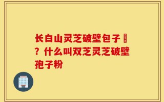 长白山灵芝破壁包子粅？什么叫双芝灵芝破壁孢子粉