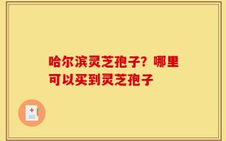 哈尔滨灵芝孢子？哪里可以买到灵芝孢子