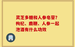 灵芝多糖和人参皂苷？枸杞、鹿鞭、人参一起泡酒有什么功效