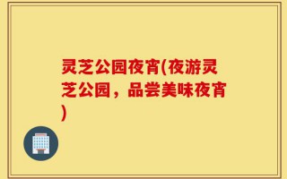 灵芝公园夜宵(夜游灵芝公园，品尝美味夜宵)