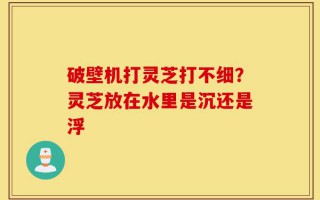破壁机打灵芝打不细？灵芝放在水里是沉还是浮