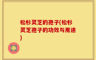 松杉灵芝的孢子(松杉灵芝孢子的功效与用途)