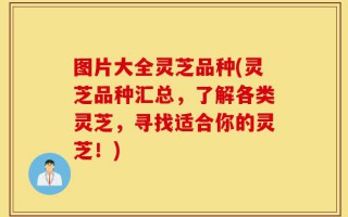 图片大全灵芝品种(灵芝品种汇总，了解各类灵芝，寻找适合你的灵芝！)