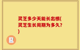 灵芝多少天能长出根(灵芝生长周期为多久？)