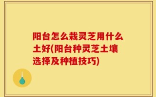 阳台怎么栽灵芝用什么土好(阳台种灵芝土壤选择及种植技巧)