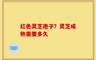 红色灵芝孢子？灵芝成熟需要多久