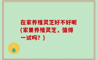 在家养殖灵芝好不好呢(家里养殖灵芝，值得一试吗？)