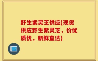 野生紫灵芝供应(现货供应野生紫灵芝，价优质优，新鲜直达)