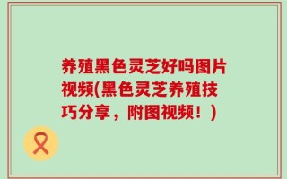 养殖黑色灵芝好吗图片视频(黑色灵芝养殖技巧分享，附图视频！)