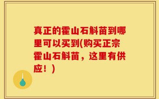 真正的霍山石斛苗到哪里可以买到(购买正宗霍山石斛苗，这里有供应！)
