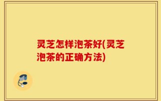 灵芝怎样泡茶好(灵芝泡茶的正确方法)