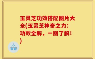 玉灵芝功效搭配图片大全(玉灵芝神奇之力：功效全解，一图了解！)
