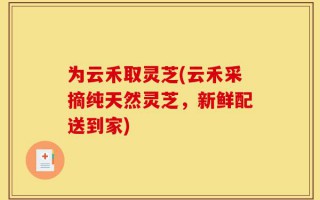 为云禾取灵芝(云禾采摘纯天然灵芝，新鲜配送到家)