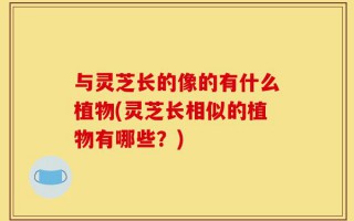与灵芝长的像的有什么植物(灵芝长相似的植物有哪些？)