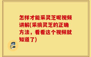 怎样才能采灵芝呢视频讲解(采摘灵芝的正确方法，看看这个视频就知道了)