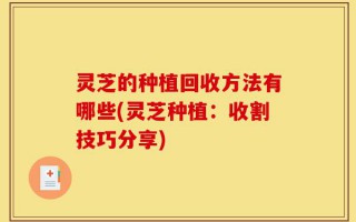 灵芝的种植回收方法有哪些(灵芝种植：收割技巧分享)