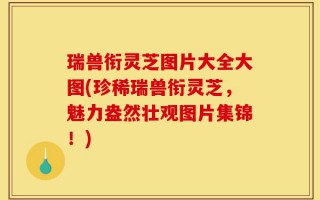 瑞兽衔灵芝图片大全大图(珍稀瑞兽衔灵芝，魅力盎然壮观图片集锦！)