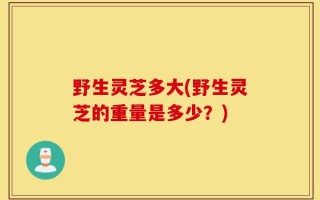 野生灵芝多大(野生灵芝的重量是多少？)