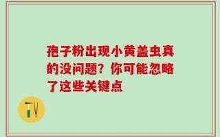 孢子粉出现小黄盖虫真的没问题？你可能忽略了这些关键点