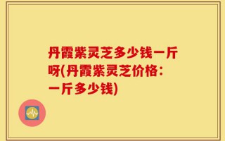 丹霞紫灵芝多少钱一斤呀(丹霞紫灵芝价格：一斤多少钱)