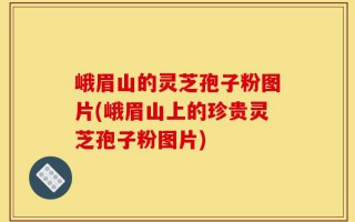 峨眉山的灵芝孢子粉图片(峨眉山上的珍贵灵芝孢子粉图片)