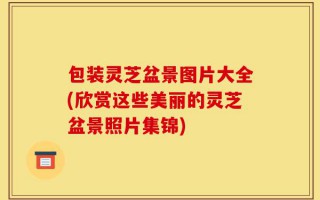 包装灵芝盆景图片大全(欣赏这些美丽的灵芝盆景照片集锦)
