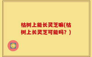 枯树上能长灵芝嘛(枯树上长灵芝可能吗？)