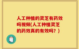 人工种植的灵芝有药效吗视频(人工种植灵芝的药效真的有效吗？)