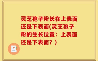 灵芝孢子粉长在上表面还是下表面(灵芝孢子粉的生长位置：上表面还是下表面？)