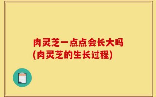 肉灵芝一点点会长大吗(肉灵芝的生长过程)