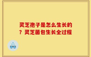 灵芝孢子是怎么生长的？灵芝菌包生长全过程